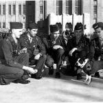 Soldiers posing with a dog