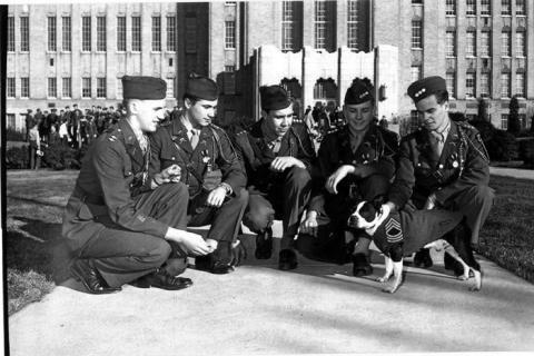 Soldiers posing with a dog