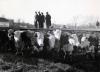 Ogden Stockyards Photographs, Memorabilia and Oral Histories