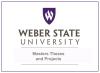 WSU Master's Theses and Projects